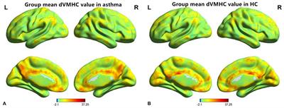 Asthma's effect on brain connectivity and cognitive decline